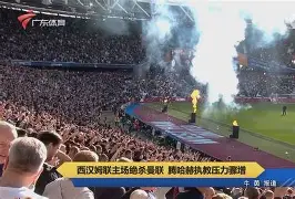 拉力赛半决赛上演强强对话，胶东犀牛队绝杀粤西飞鹰队，多点开花奏效；赛场纪律更严谨的简单介绍